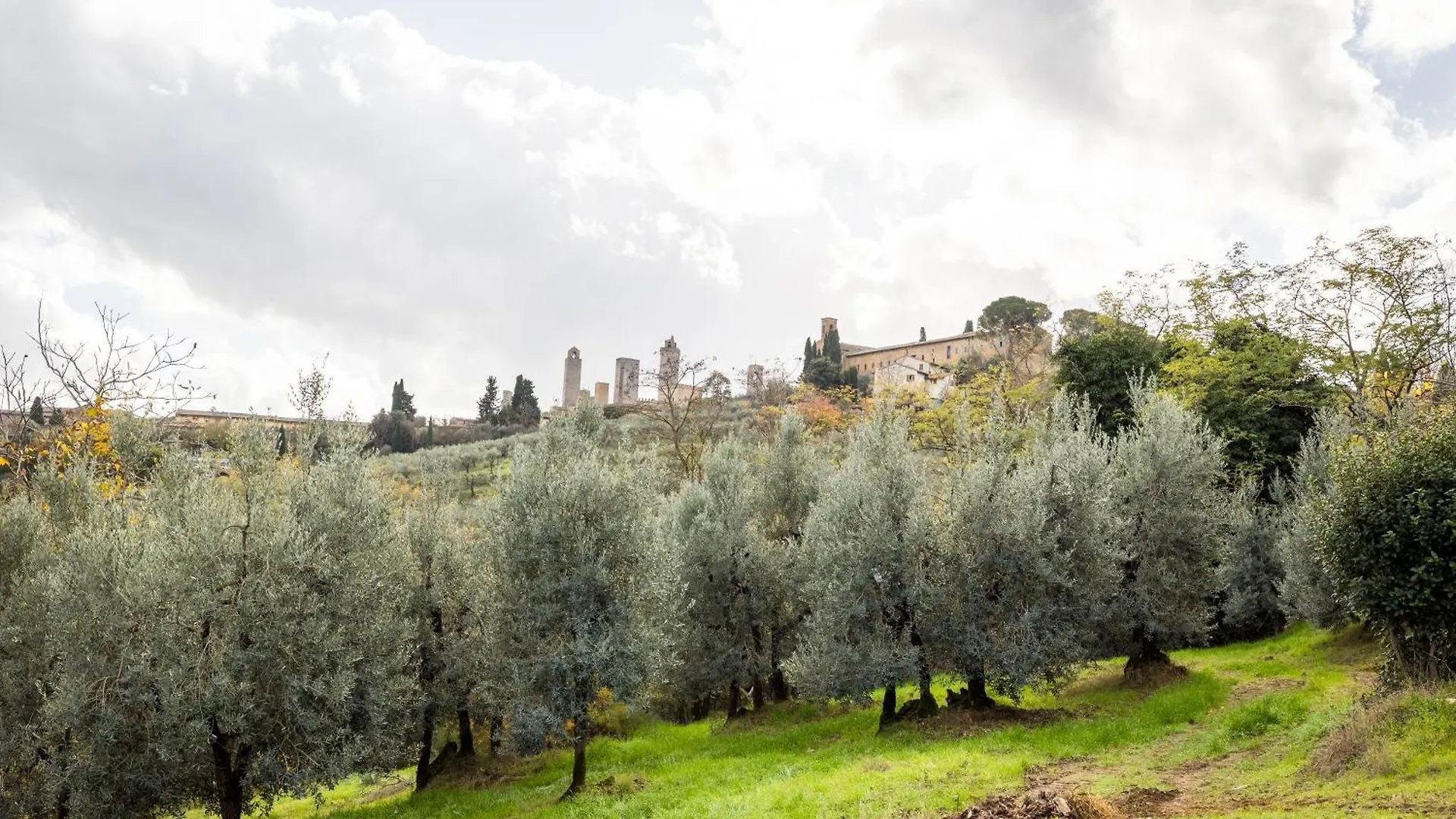 Spacious Estate In San Gimignano